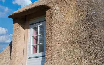 Tranwell thatch roof disadvantages
