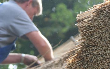 professional Tranwell thatchers